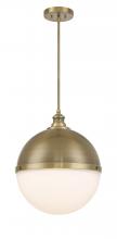  6606-923 - Vorey - 20" 1 Light Pendant