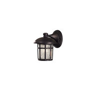  8251-94 - Cranston™ - 1 Light Outdoor Wall Mount