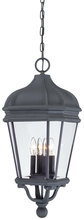  8694-66 - Harrison™ - 4 Light Outdoor Chain Hung