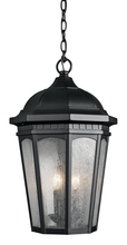  9539BKT - Outdoor Pendant 3Lt