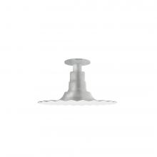 Montclair Light Works FMB158-49-G05 - 12&#34; Radial shade, Flush Mount Light ceiling light with clear glass and cast guard