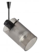  SP-6524ES-06-BR - Besa Spotlight With 6" Stem Scope Bronze Smoke/Frost 1x50W Halogen Mr16