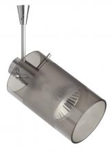  SP-6524ES-06-SN - Besa Spotlight With 6" Stem Scope Satin Nickel Smoke/Frost 1x50W Halogen Mr16