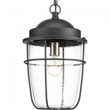  P550025-031 - Holcombe Collection Hanging Lantern