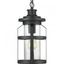  P550031-031 - Haslett Collection One-Light Hanging Lantern
