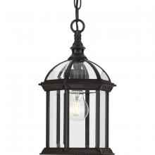  P550122-020 - Dillard Collection One-Light Traditional Antique Bronze Clear Glass Outdoor Hanging Light