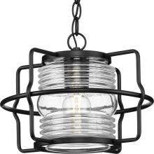  P550134-31M - Keegan Collection One-Light Matte Black Clear Glass Coastal Outdoor Hanging Lantern