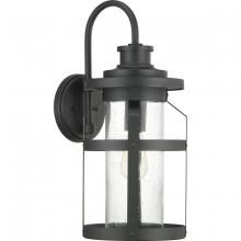  P560096-031 - Haslett Collection One-Light Large Wall Lantern