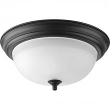  P3925-80 - Two-Light Dome Glass 13-1/4" Close-to-Ceiling