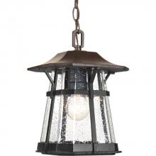  P5579-84 - Derby Collection One-Light Hanging Lantern