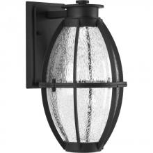  P560034-031-30 - Pier 33 Collection One-Light LED Wall Lantern