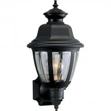  P5737-31 - Non-Metallic Incandescent One-Light Wall Lantern