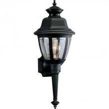  P5738-31 - Non-Metallic Incandescent One-Light Wall Lantern