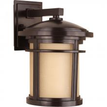  P6085-20 - Wish Collection One-Light Medium Wall Lantern