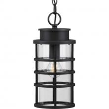  P550061-031 - Port Royal Collection One-Light Hanging Lantern with DURASHIELD