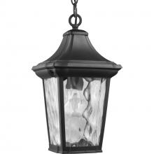  P550062-031 - Marquette Collection One-Light Hanging Lantern with DURASHIELD