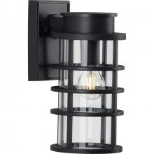  P560168-031 - Port Royal Collection One-Light Small Wall Lantern with DURASHIELD