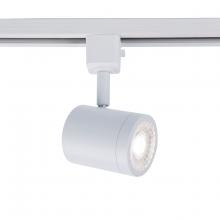  J-8010-30-WT - 8010 Energy Star Track Luminaire