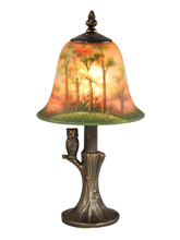  TA15149 - Owl Hand Painted Accent Table Lamp