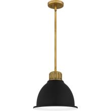  QPP5569WS - Quoizel Piccolo Pendant