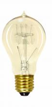  S2411 - 25 Watt A19 Incandescent; Clear; 3000 Average rated hours; 100 Lumens; Medium base; 120 Volt