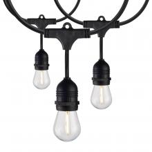  S8032 - 60Ft; Commercial LED String Light; Includes 24-S14 bulbs; 2200K; 120 Volts