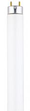  0745400 - 25W T8 Linear Fluorescent Cool White Medium BiPin Base, Sleeve