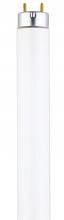  0745600 - 25W T8 Linear Fluorescent Cool White Medium BiPin Base, Sleeve