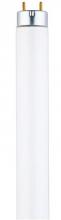  3601200 - 25W T8 Linear Fluorescent Cool White Medium BiPin Base, Sleeve