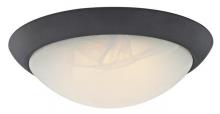  6308900 - 11 in. 14W LED Flush Oil Rubbed Bronze Finish White Alabaster Glass