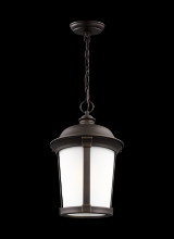  6250701-71 - Calder One Light Outdoor Pendant