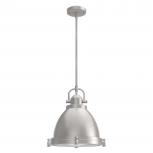  19104 - Hunter Bridgemoor Brushed Nickel with Clear Holophane Glass 2 Light Pendant Ceiling Light Fixture