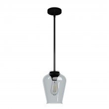  19724 - Hunter Vidria Matte Black with Smoked Glass 1 Light Pendant Ceiling Light Fixture