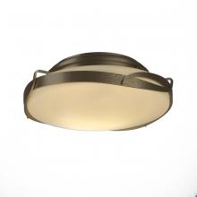  126740-SKT-84-GG0097 - Flora Flush Mount