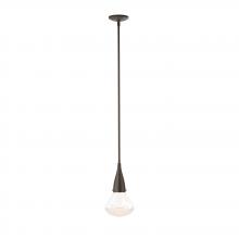 Hubbardton Forge 188902-SKT-MULT-05-ZM0676 - Fritz Large Pendant