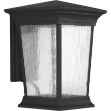  P6069-3130K9 - P6069-3130K9 1-17W  LED WALL LANTERN