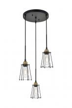  LD4047D16BRB - Auspice 3 Light Brass and Black Pendant