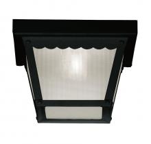  M50058BK - 1-Light Outdoor Ceiling Light in Black