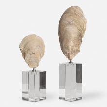  17523 - Uttermost Oyster Shell Sculptures, S/2