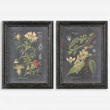  56053 - Midnight Botanicals Wall Art S/2