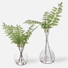  60202 - Uttermost Country Ferns, S/2