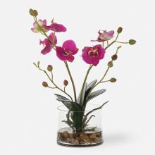  60220 - Uttermost Glory Fuchsia Orchid
