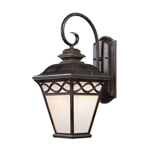  8561EW/70 - Thomas - Mendham 1-Light Outdoor Sconce in Hazelnut Bronze