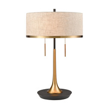  D4067 - TABLE LAMP