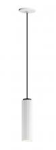  E25038-WTBK - Pleat-Single Pendant